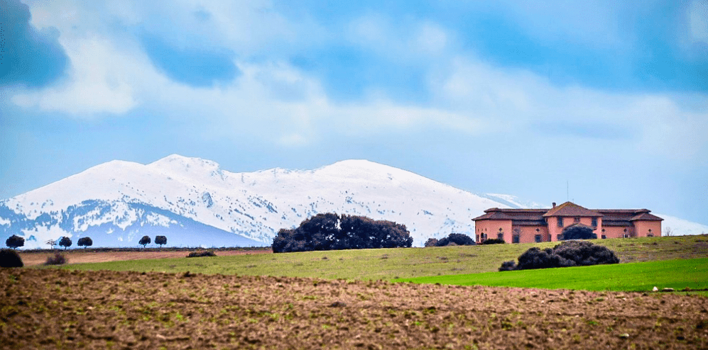 Cata y Visita a Bodega Alanterra - Imagen 3