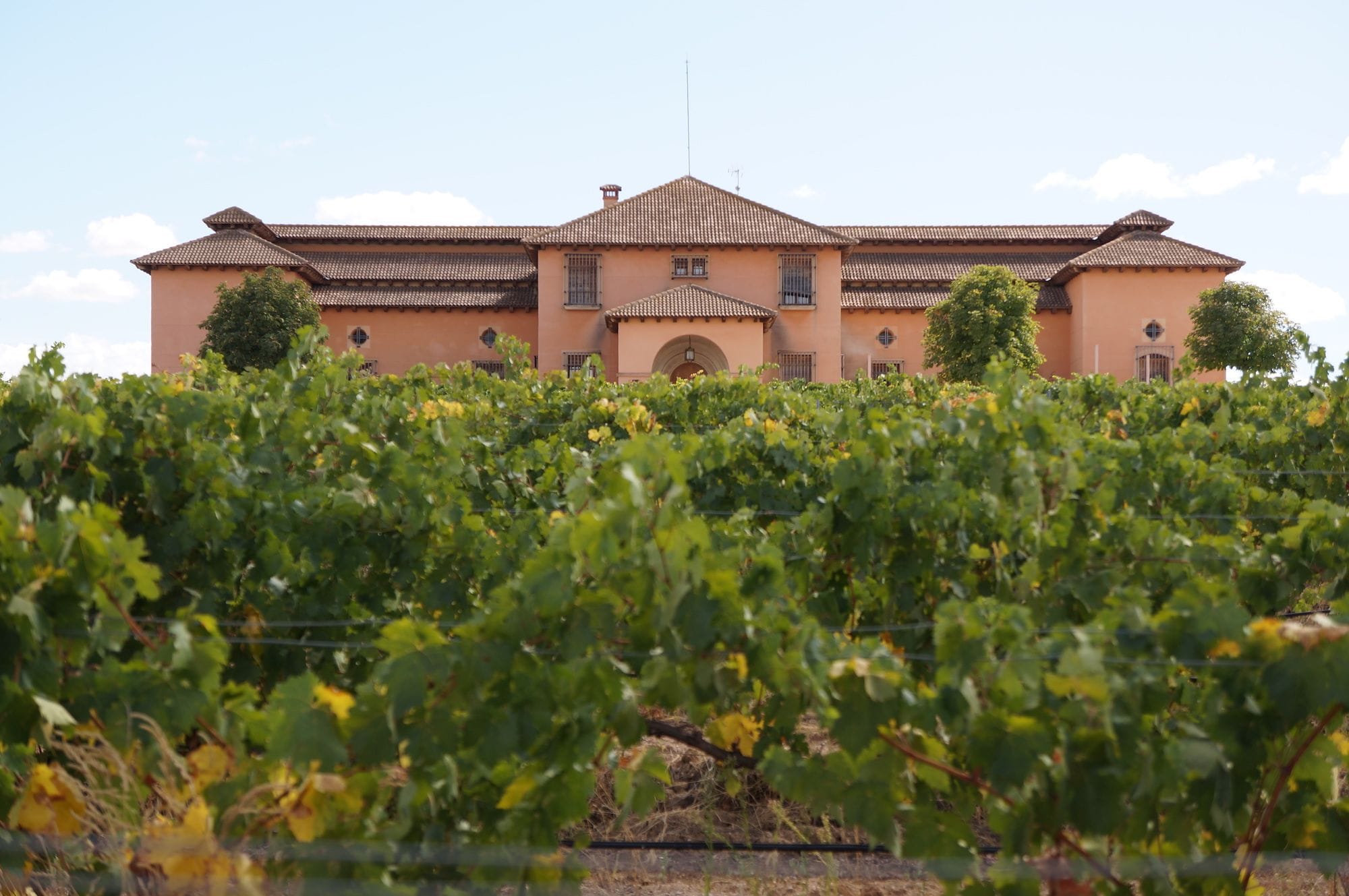 Cata y Visita a Bodega Alanterra - Imagen 4