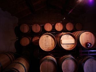 Visita a Bodega Las Dos Antiguas - Imagen 2