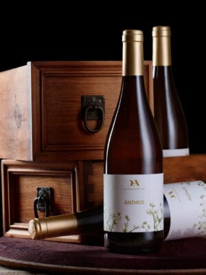 Visita a Bodega Las Dos Antiguas