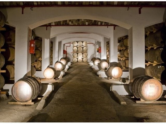 Visita a la Fábrica DYC - Imagen 2