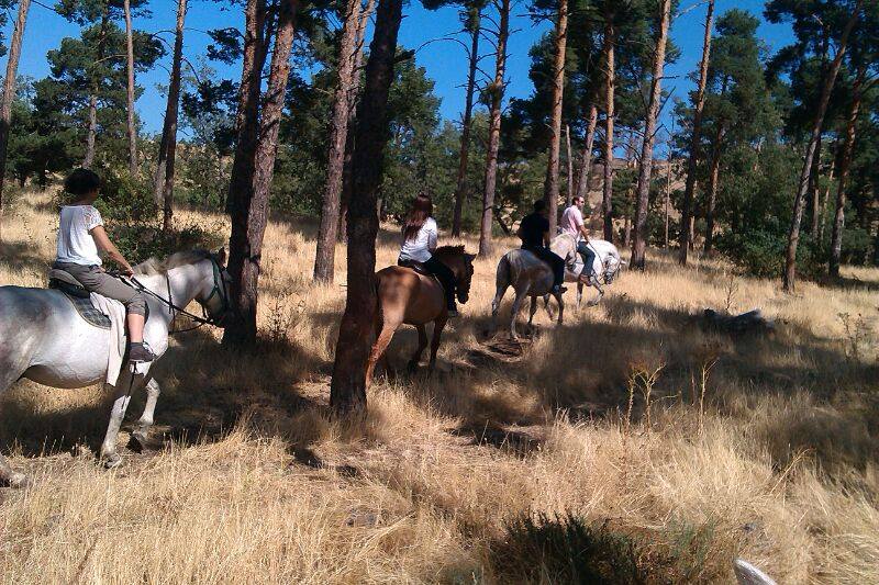 Ruta a Caballo en Segovia - Imagen 4