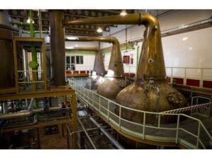 Visita a la Fábrica DYC