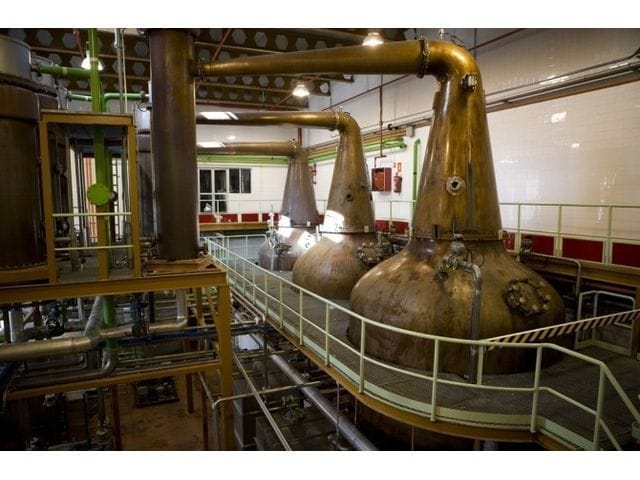 Visita a la Fábrica DYC