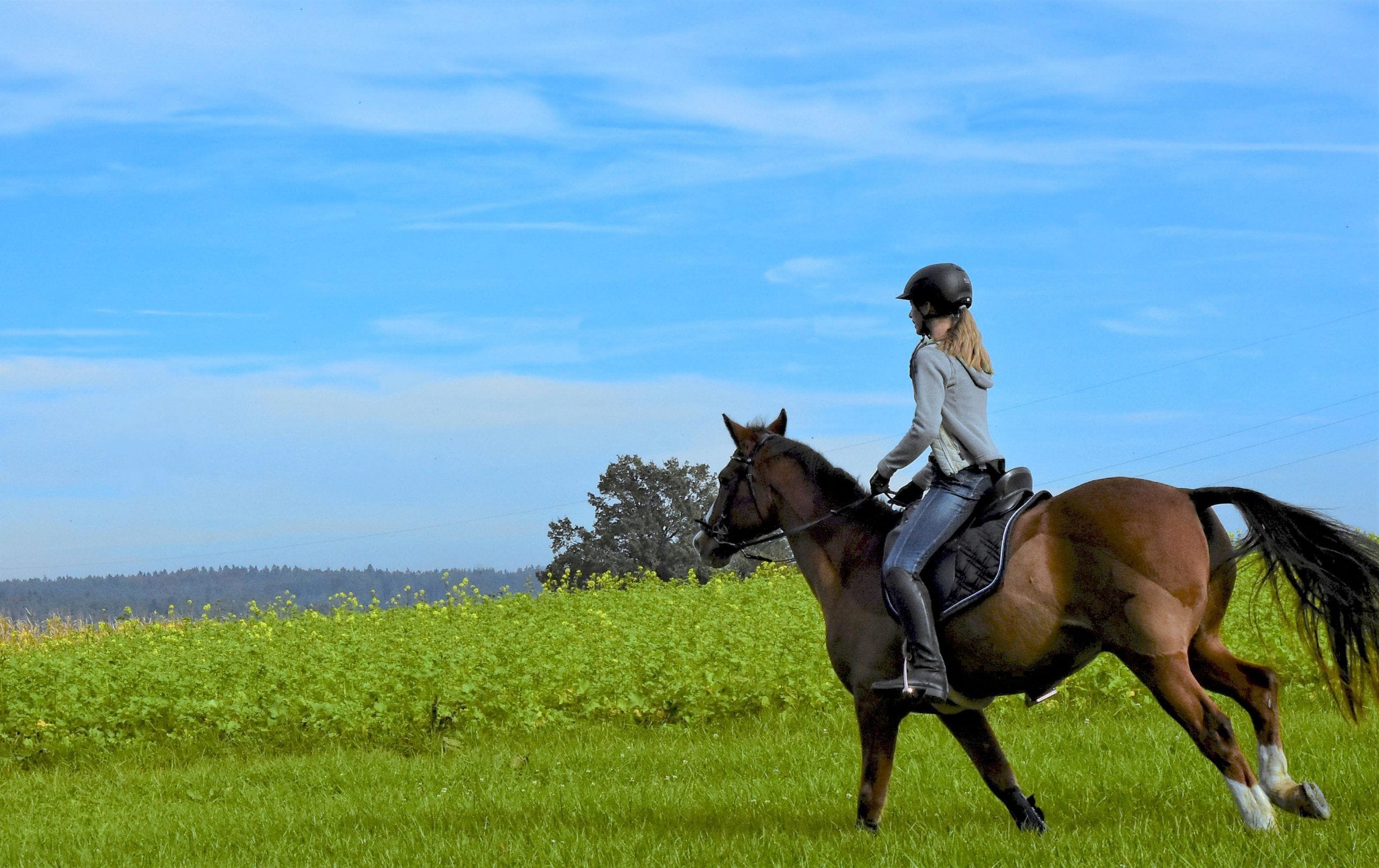 Ruta a Caballo en Segovia - Imagen 2